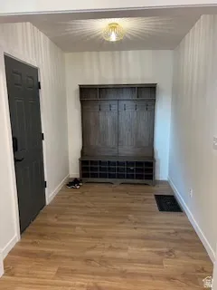 Entryway featuring wood-finish flooring and a built-in hall tree with storage cubbies