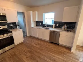 Contemporary kitchen featuring wood-finish flooring, white shaker cabinetry, stainless steel appliances, and a dark subway tile backsplash