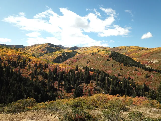 Mountainous terrain featuring dense tree coverage with vibrant fall foliage