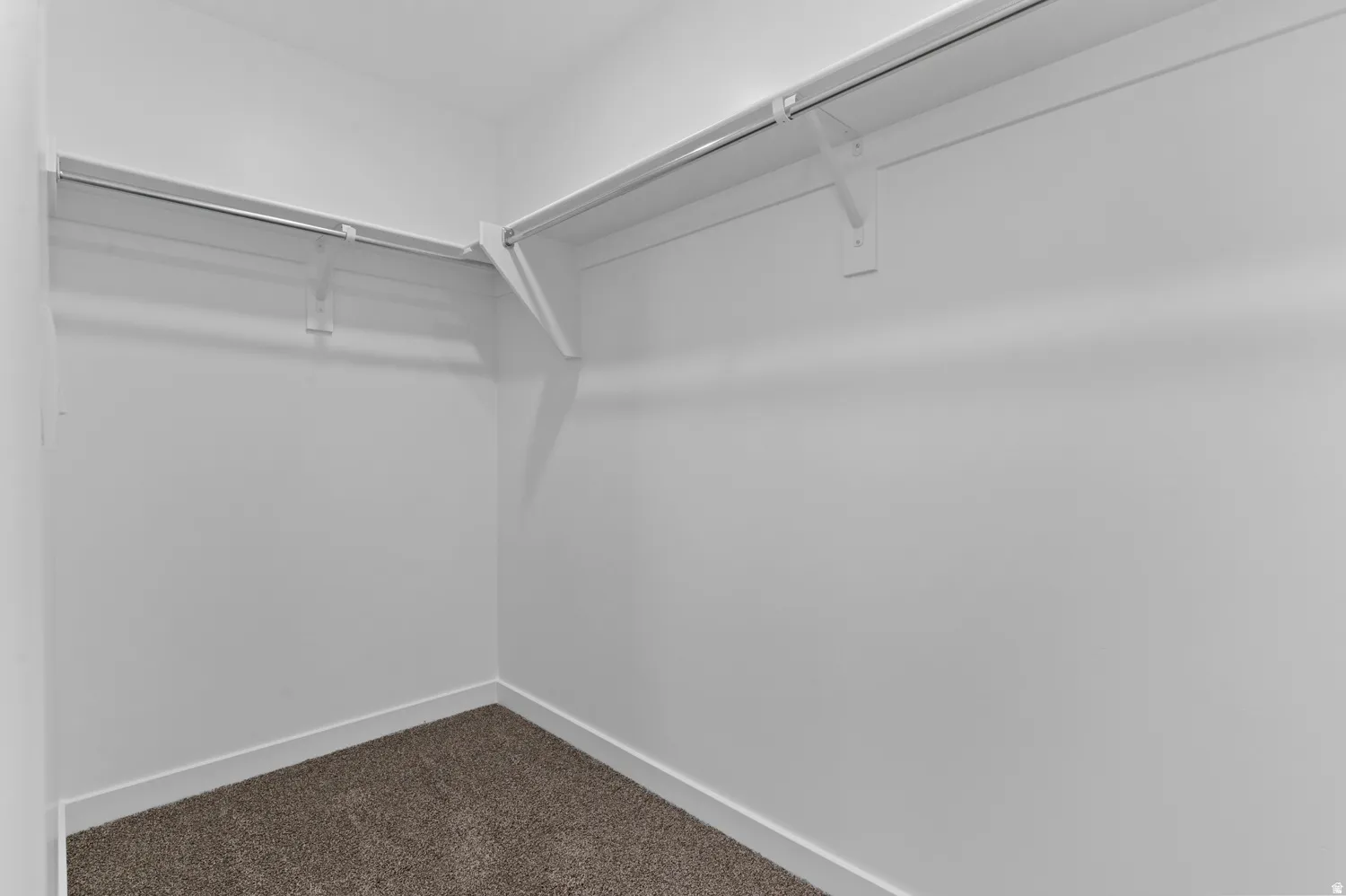 Walk-in closet featuring plush brown carpeting, crisp white walls, and built-in white shelving with hanging rods