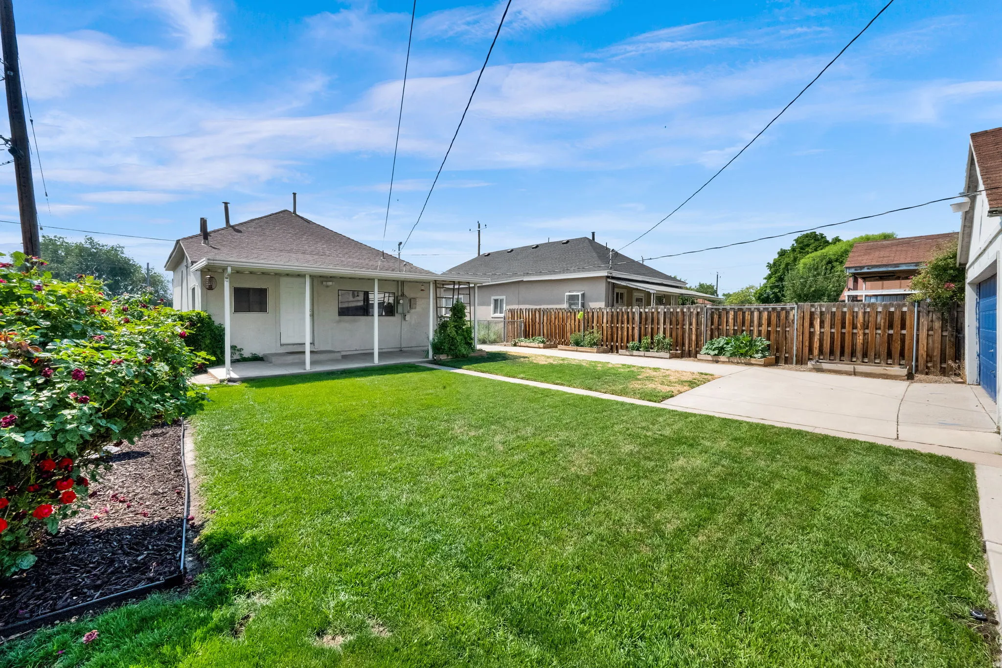 Expansive green lawn with a concrete walkway and mature landscaping