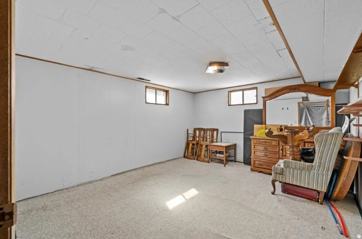 Finished basement area with neutral carpeting, white paneled walls, and wood trim accents