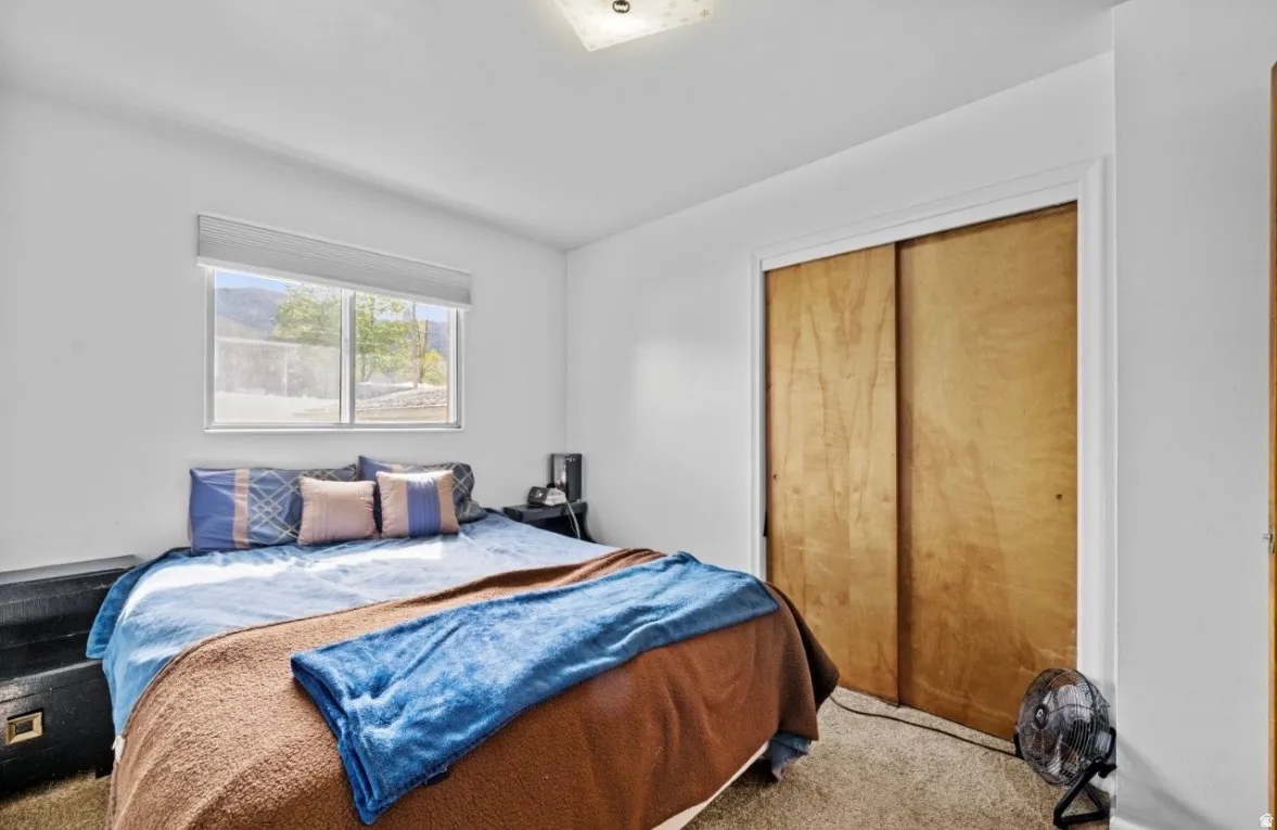 Carpeted room featuring a window with a roller blind, a ceiling-mounted light fixture, and a closet with sliding wood doors