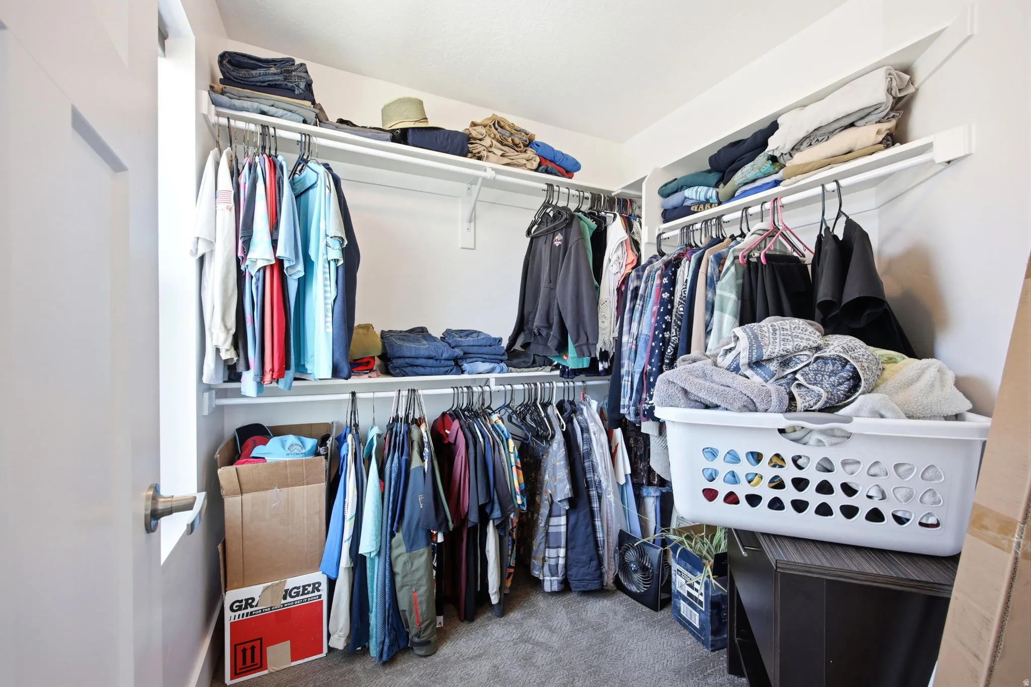 Spacious walk-in closet featuring white wall-mounted shelving, multiple clothing rods, and gray carpet flooring
