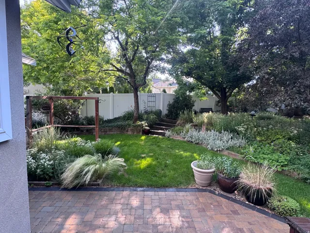 Expansive backyard featuring a paver patio, manicured lawn, and mature trees providing natural shade
