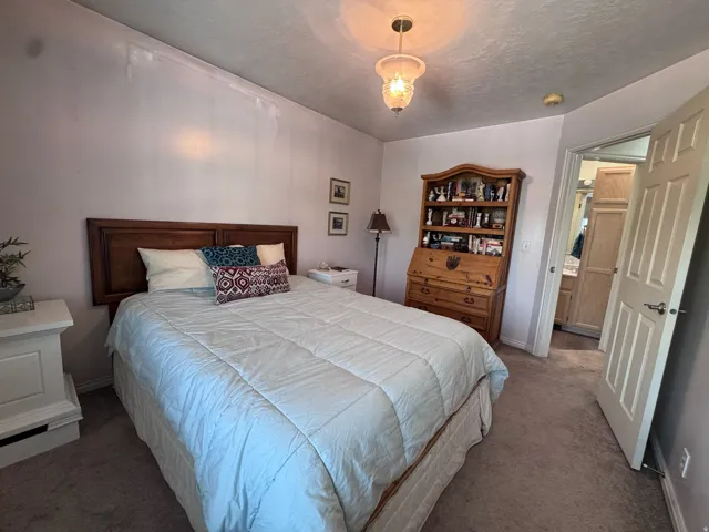 Carpeted bedroom featuring a wooden headboard, a ceiling-mounted light fixture, and a paneled door