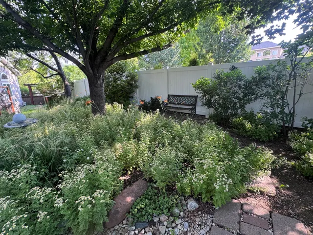 Landscaped garden area featuring mature tree, diverse plantings, and a privacy fence
