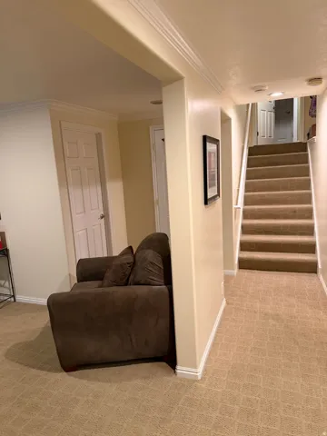 Carpeted staircase with white handrail leading to an upper level, flanked by neutral-toned walls and crown molding