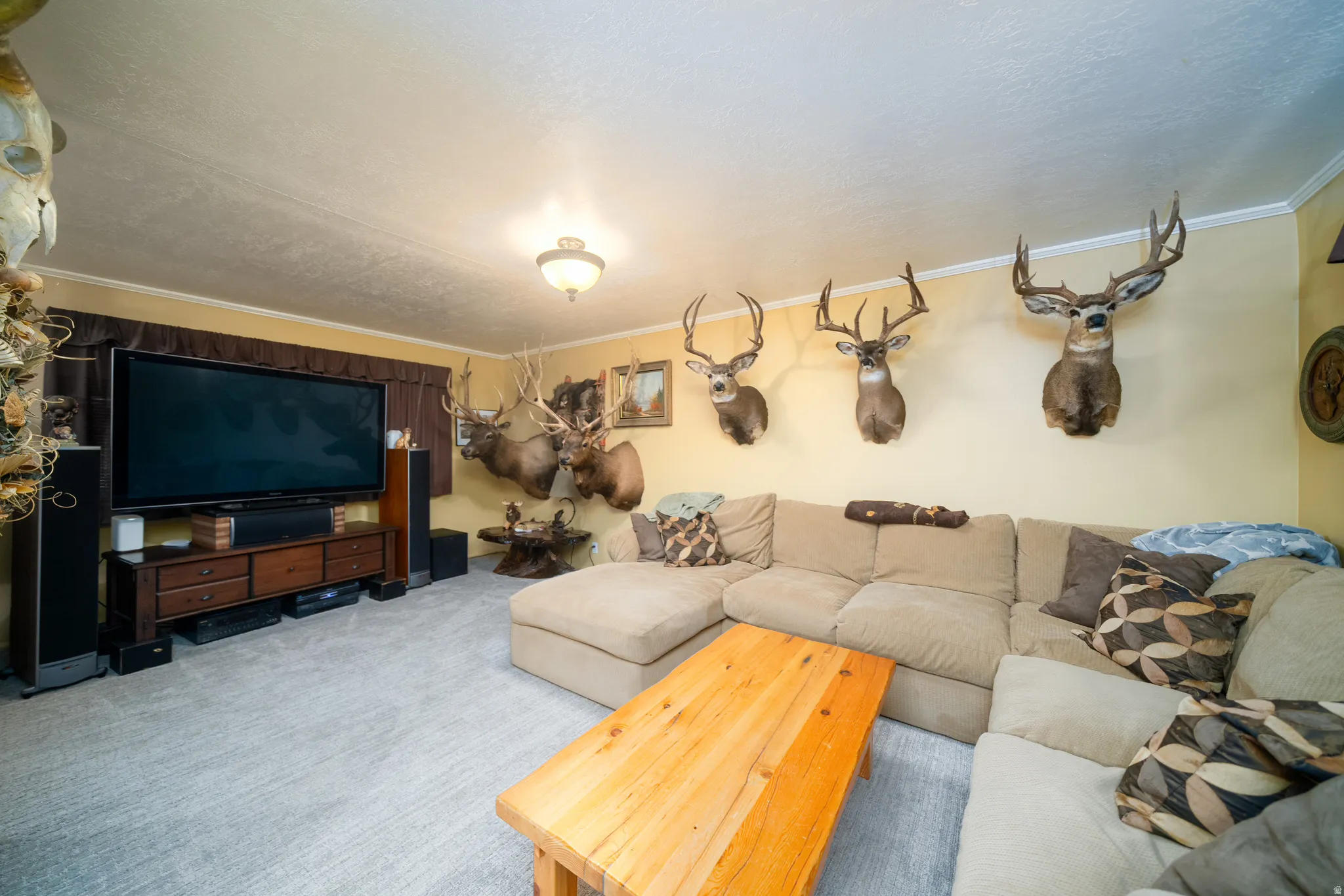 Spacious room featuring light-colored carpeting, a wall-mounted television, and crown molding