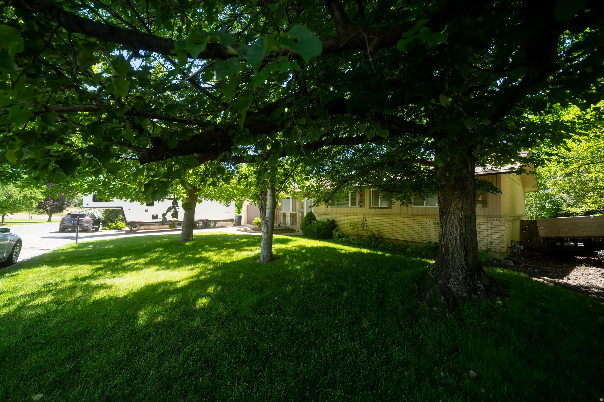 Lush, mature trees providing ample shade over the front lawn