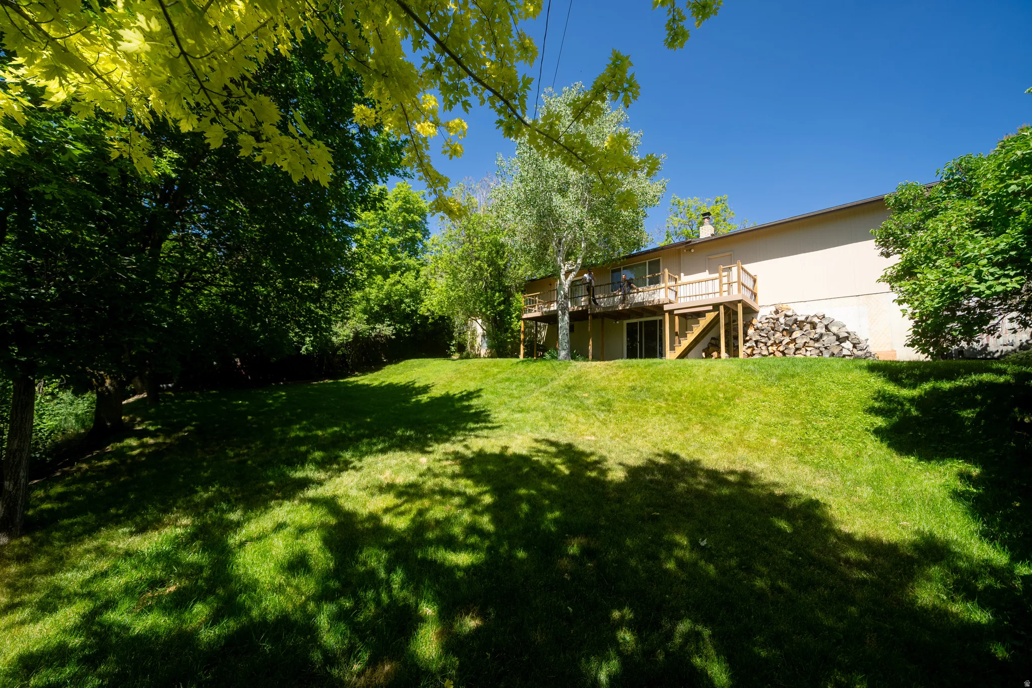 Expansive sloped lawn with mature trees and sun-dappled grass