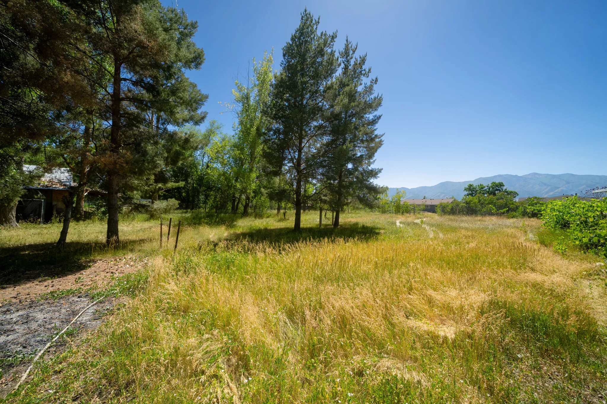 Expansive open parcel featuring mature trees, natural vegetation, and a distant mountain backdrop