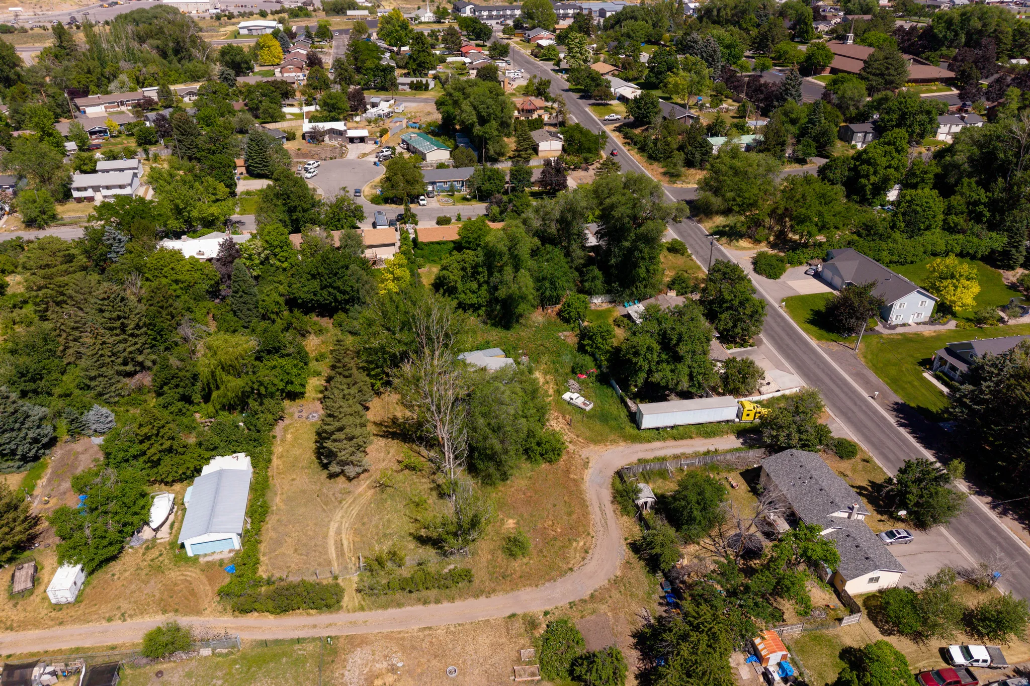 Expansive lot featuring a mix of mature deciduous and evergreen trees, a gravel drive, and natural landscaping