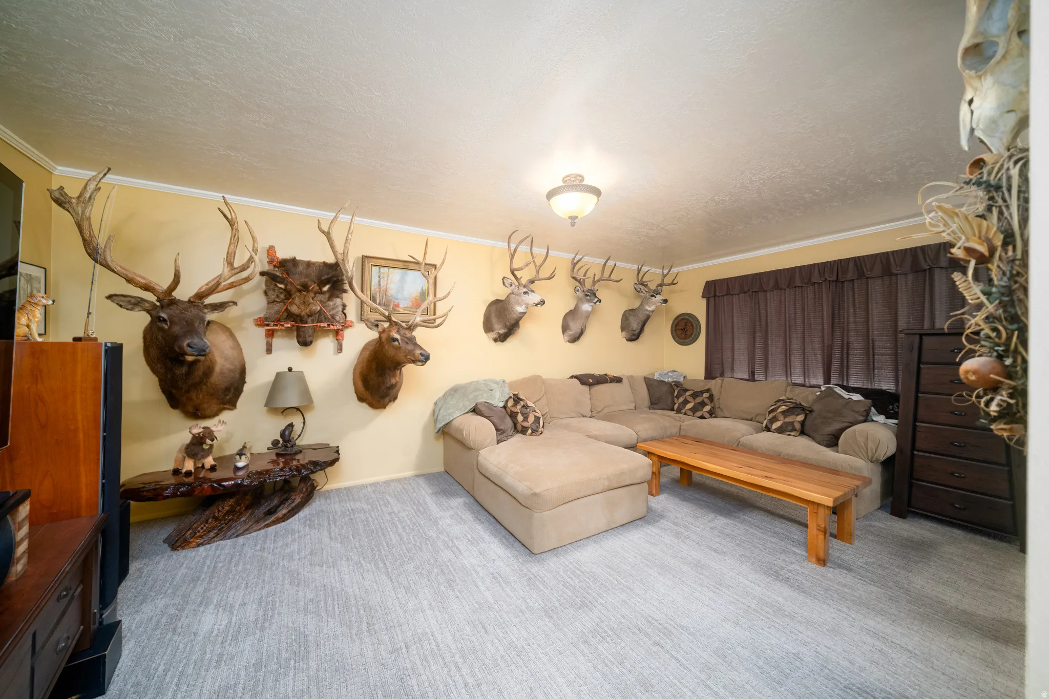 Living room featuring light-colored wall paint and textured ceiling