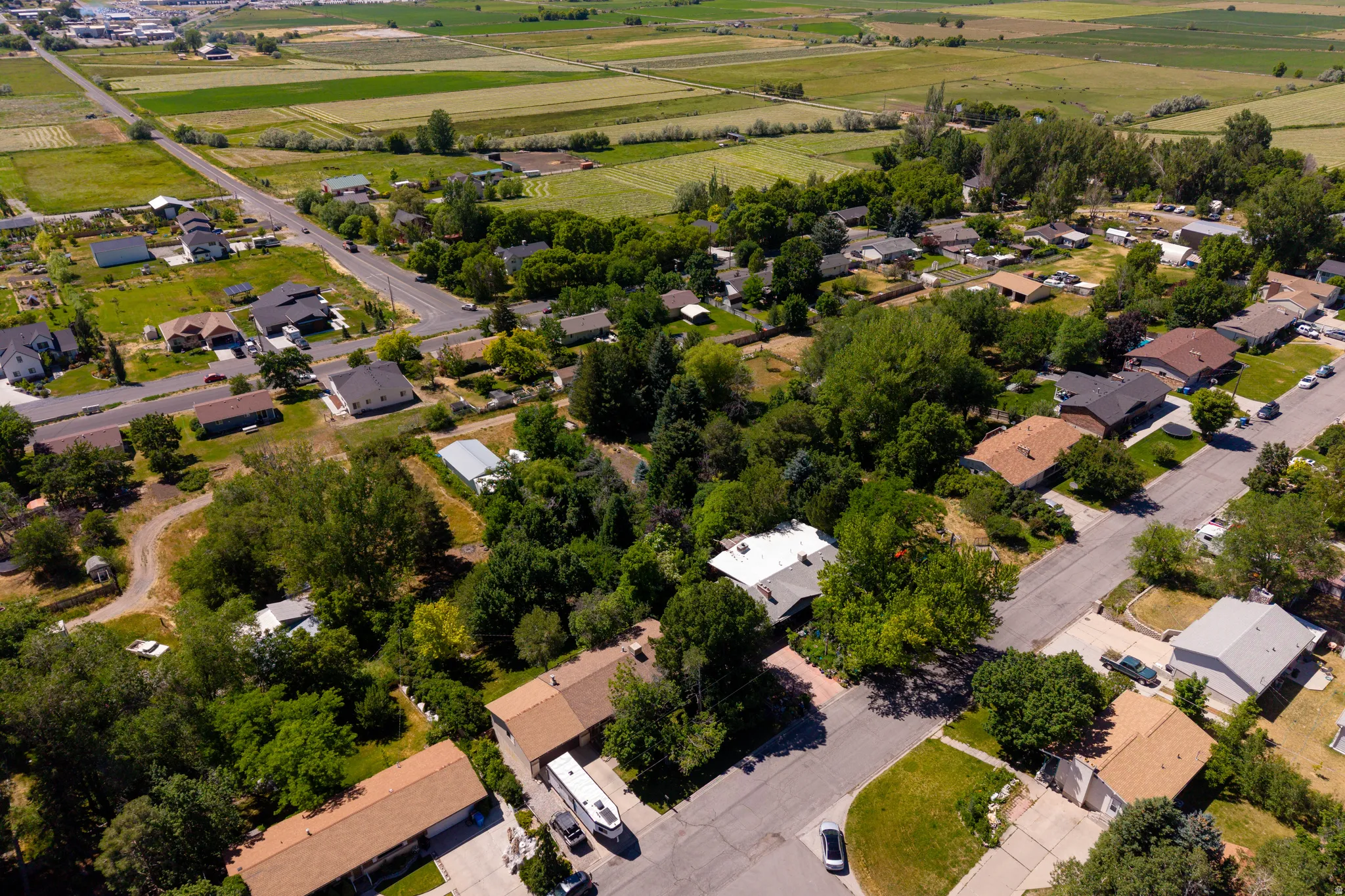 Residential neighborhood with mature trees, established streets, and a mix of single-story homes