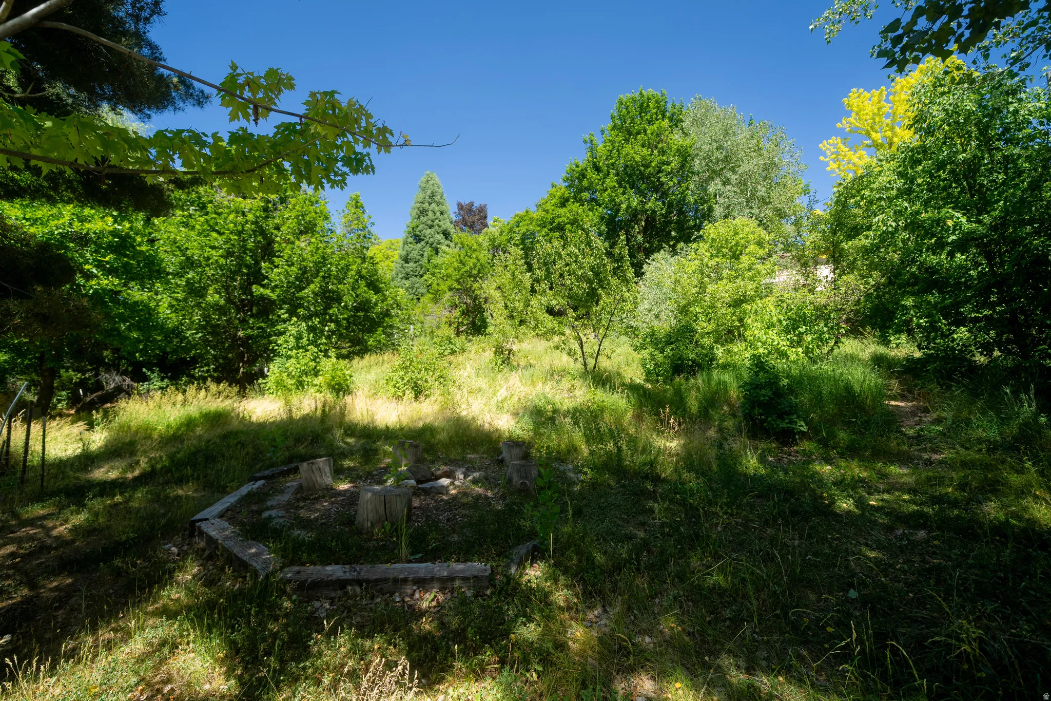 Natural landscape featuring diverse mature trees, lush greenery, and an established fire pit area with timber-like edging