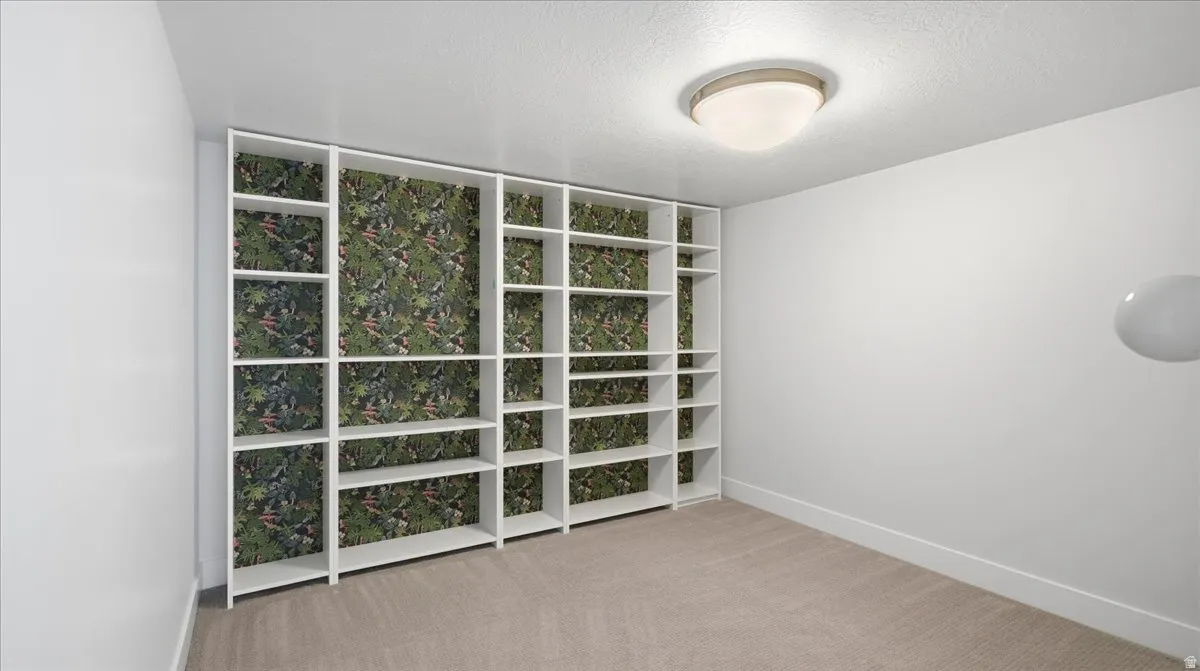 Built-in shelving unit with botanical-patterned backing, wall-to-wall carpeting, white painted walls, and a ceiling-mounted light fixture