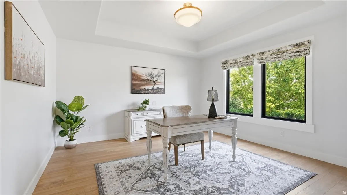 Dedicated space featuring light wood-finish flooring, white walls, and a tray ceiling