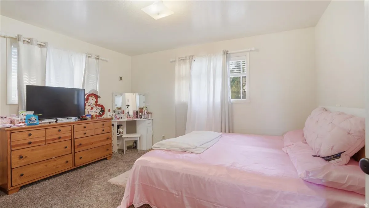 Bright interior room featuring a neutral color palette, natural light from multiple windows, and plush carpet flooring