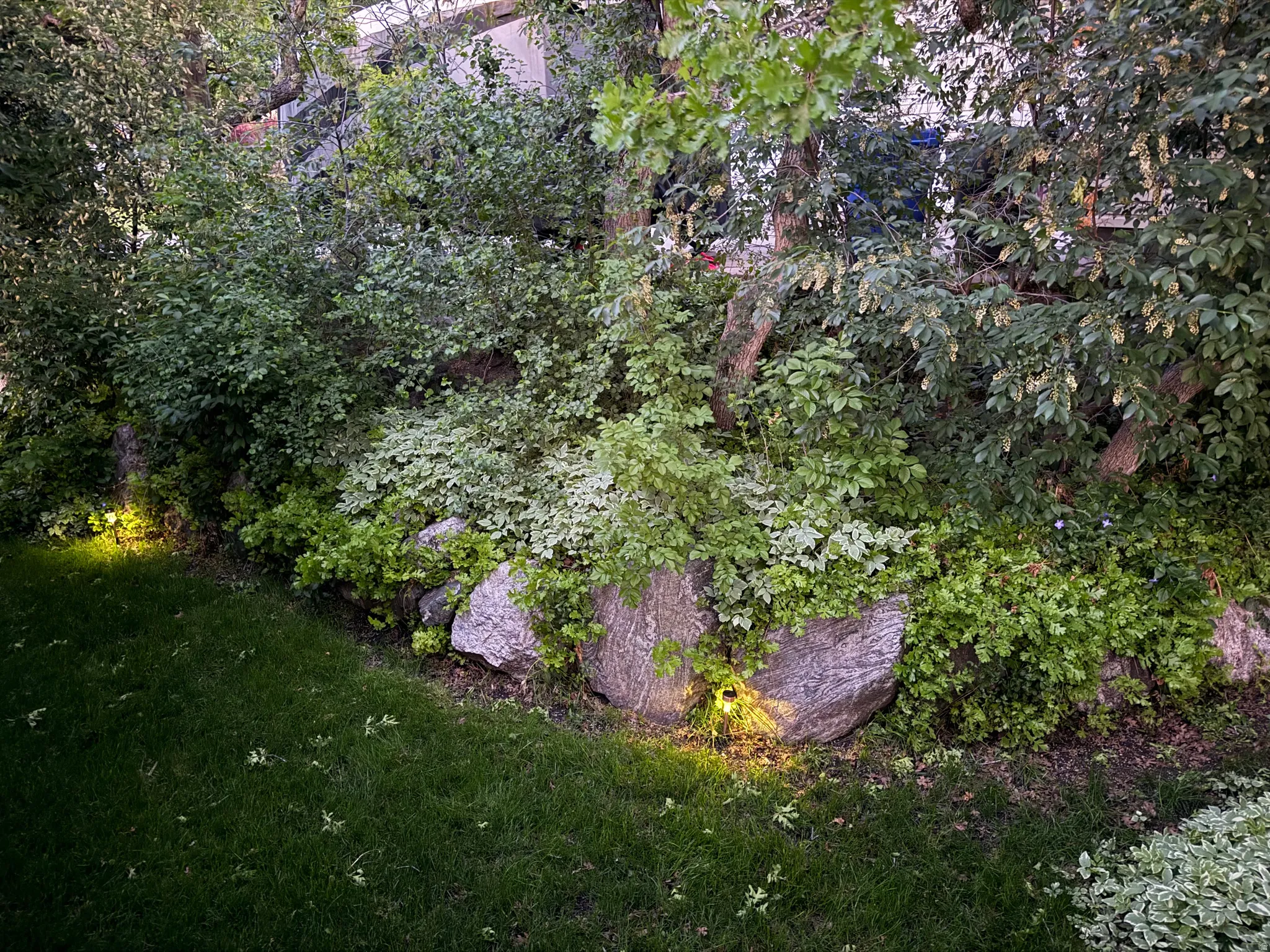 Lush landscaping featuring mature trees and varied foliage