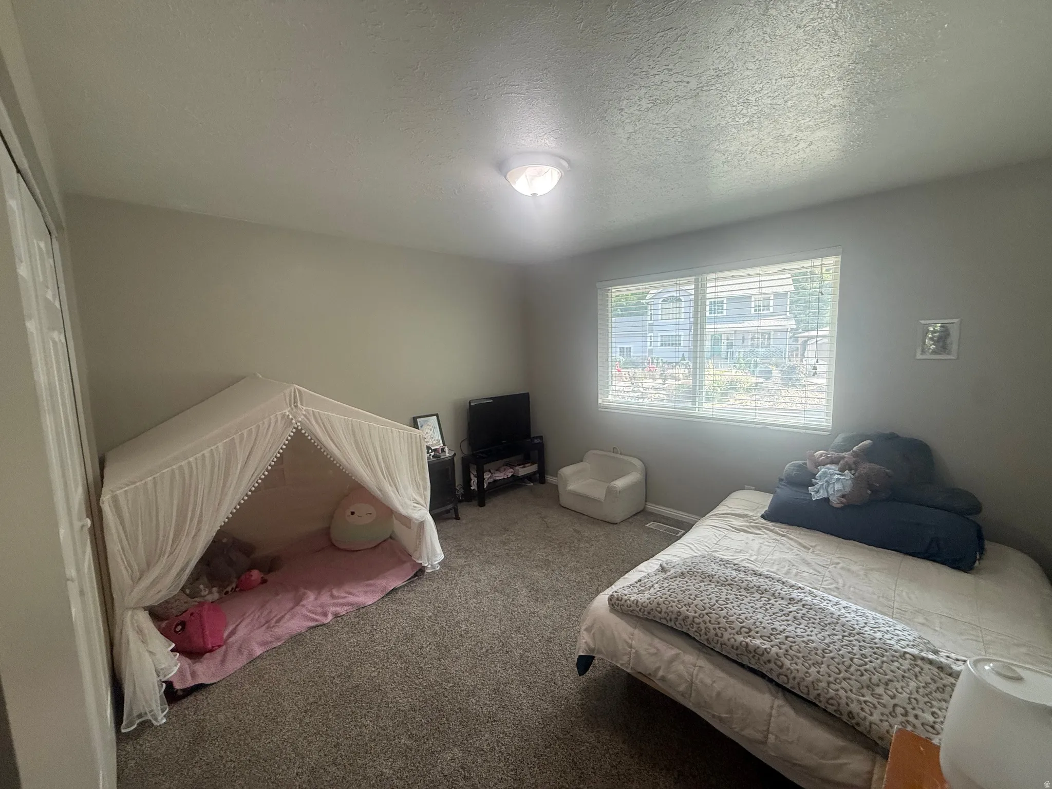 Room featuring neutral wall tones, textured carpeting, and a ceiling-mounted light fixture