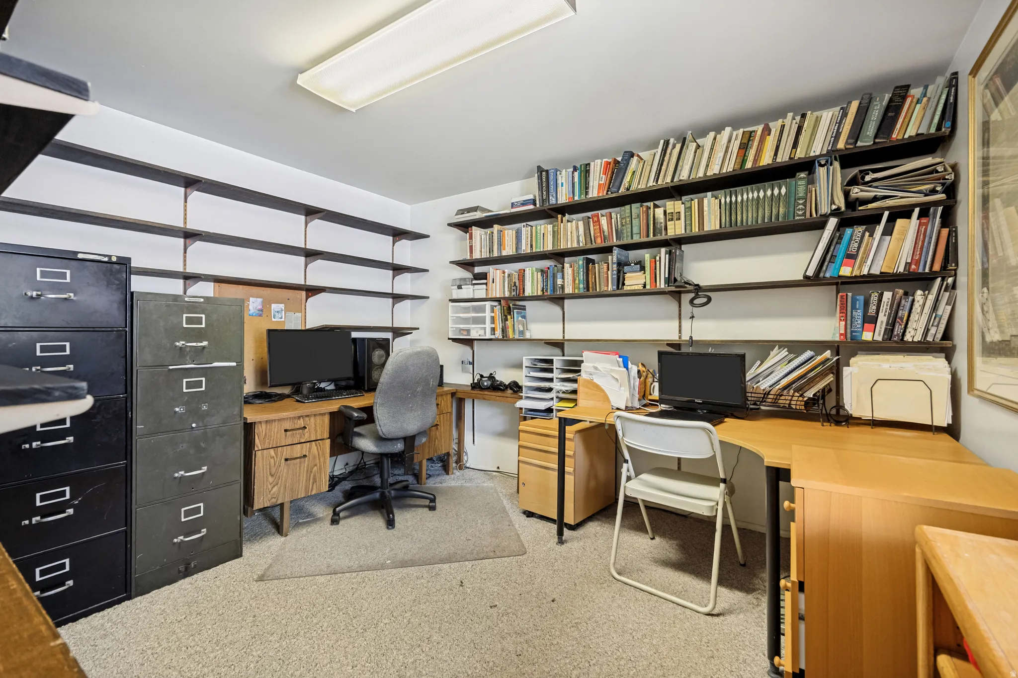 Office space featuring extensive wall-mounted shelving, carpeted flooring, and a fluorescent ceiling light