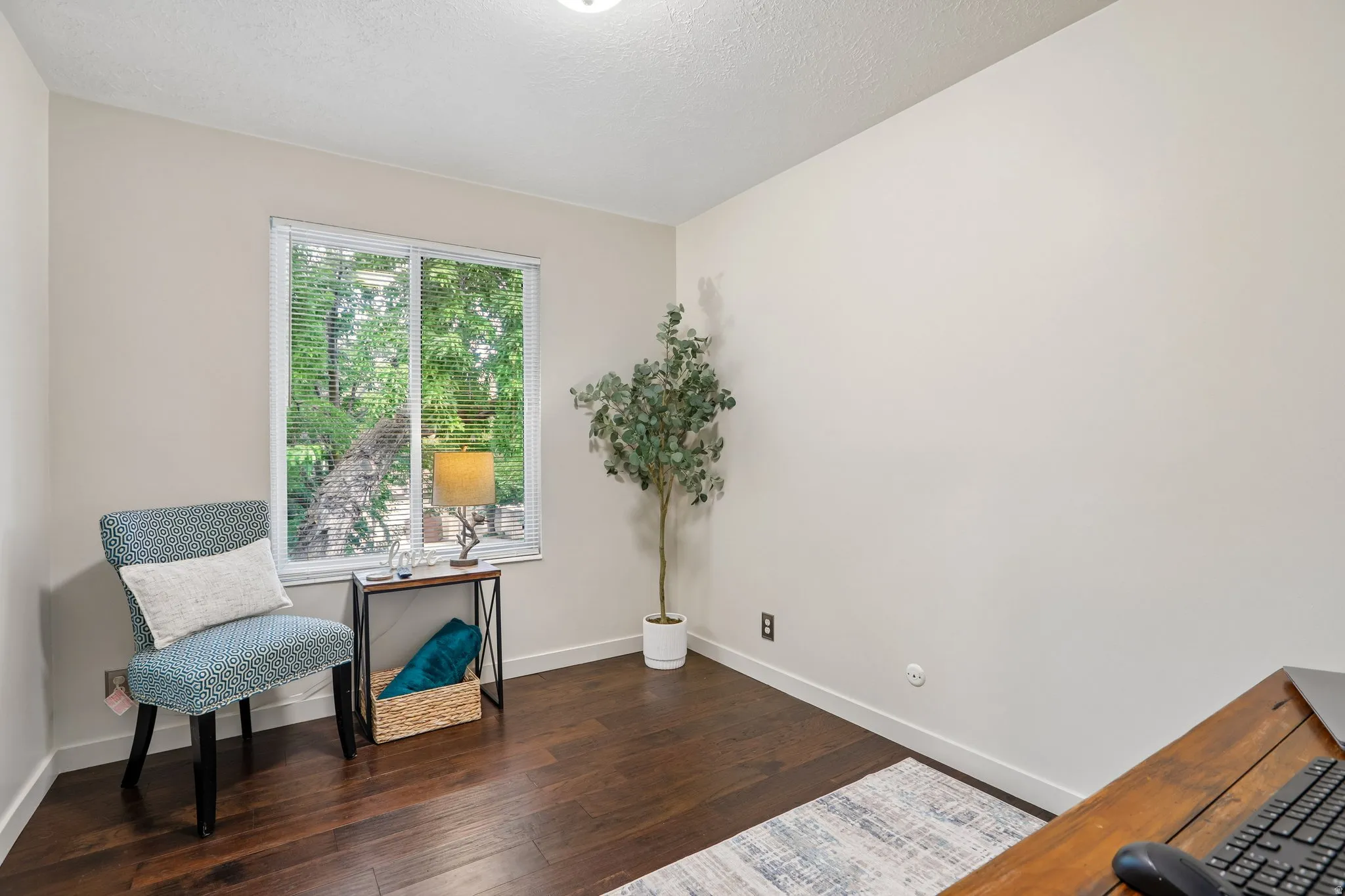 Bright interior room with wood-finish flooring