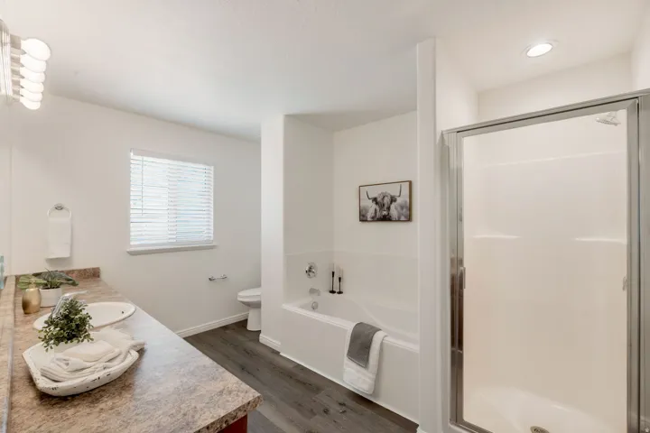 Bathroom featuring a dual vanity with a speckled countertop, a built-in soaking tub, a stand-up shower with a glass enclosure, and wood-finish flooring