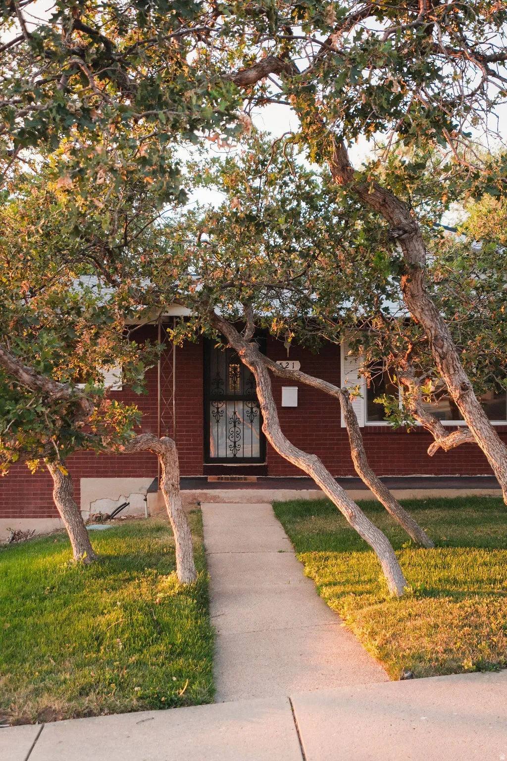 Brick exterior featuring a concrete walkway, mature trees with green foliage, and a wrought iron security door