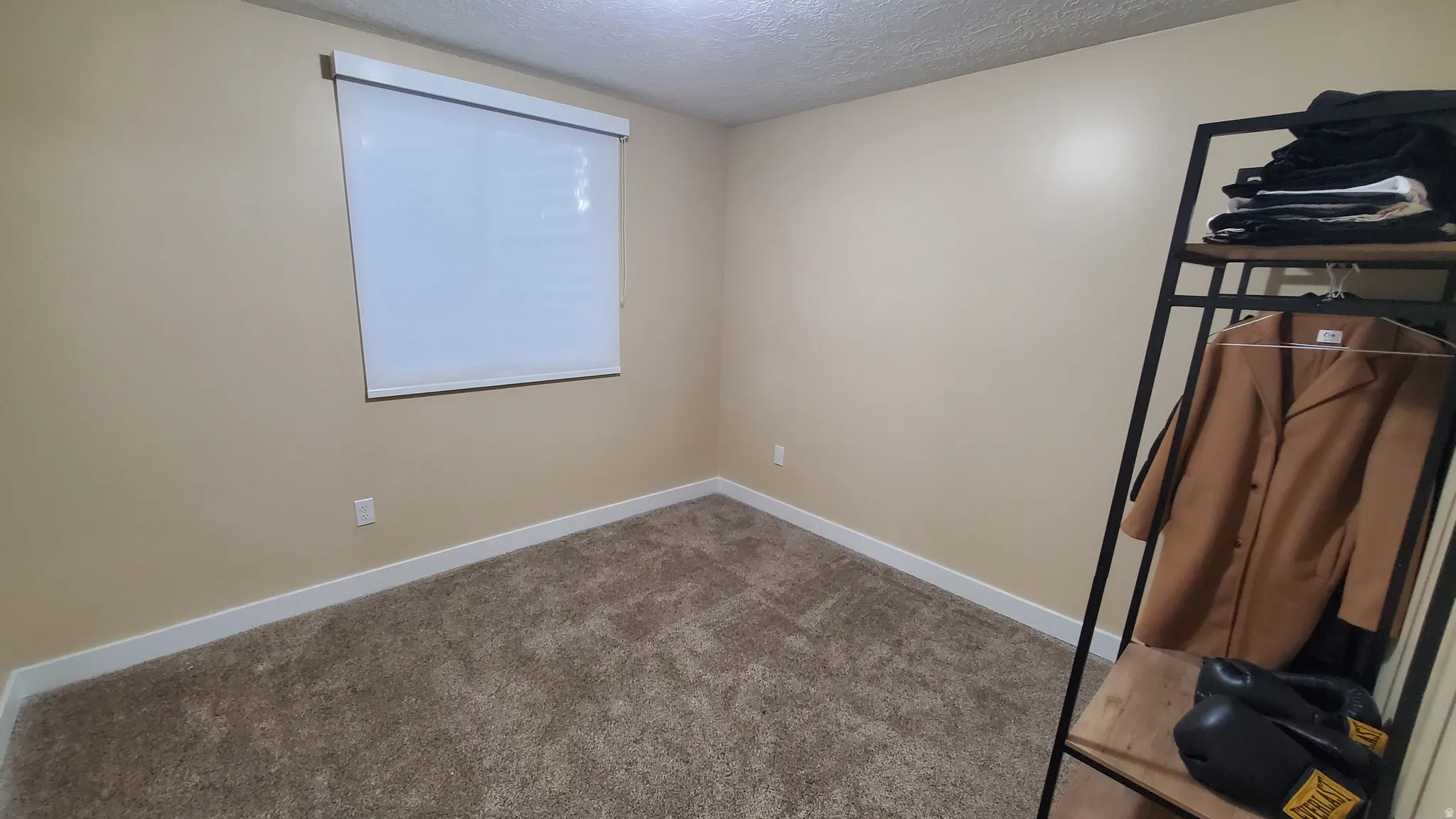 Carpeted room with a window featuring a white roller shade, light beige wall paint, and white baseboards