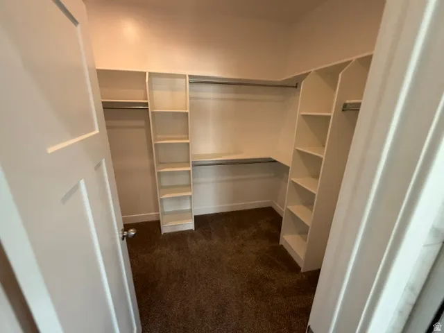 Walk-in closet with built-in shelving, multiple hanging rods, and dark brown carpet flooring