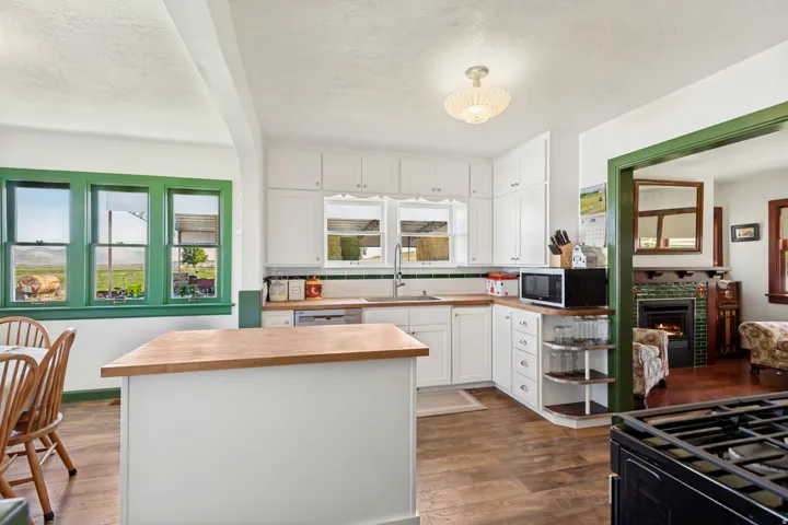Kitchen featuring white cabinetry with brushed nickel hardware, butcher block countertops, wood-finish flooring, a stainless steel sink, and a multi-pane window with a green frame