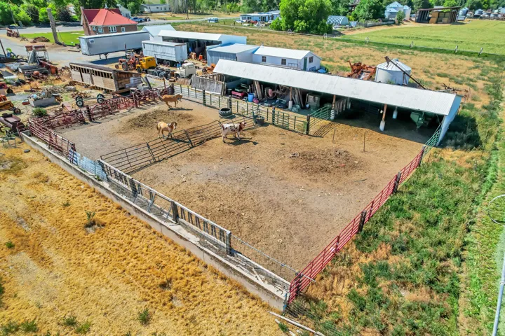Expansive outdoor animal enclosure featuring metal fencing and a covered shelter