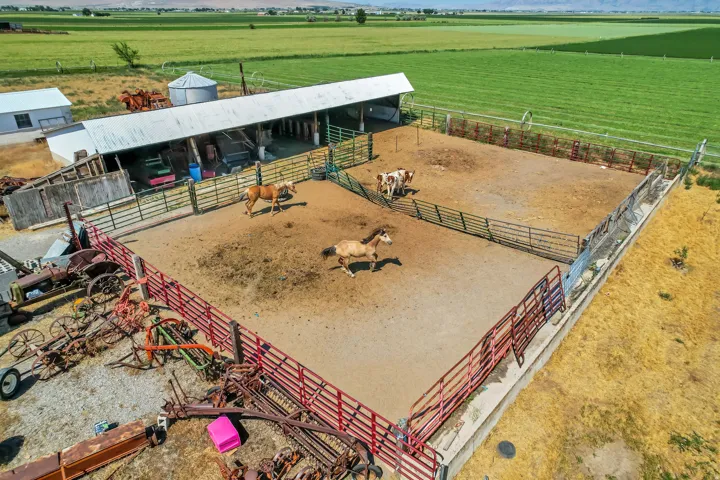 Expansive outdoor animal enclosure featuring metal fencing on a dirt surface