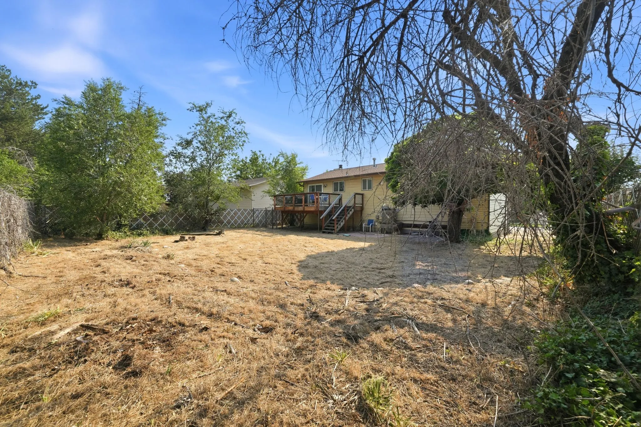 Expansive backyard space with chain-link fencing and mature trees