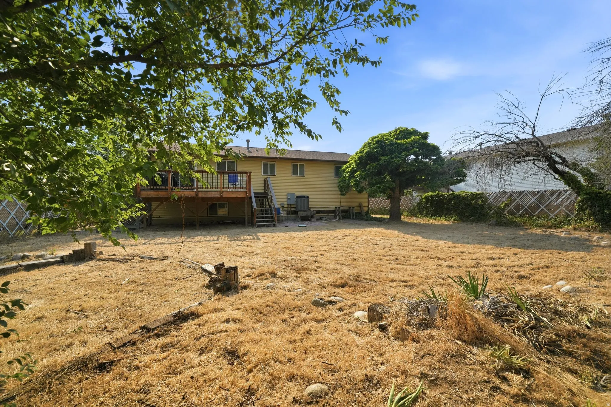 Expansive backyard featuring a multi-level wood deck, mature trees, and a spacious open area