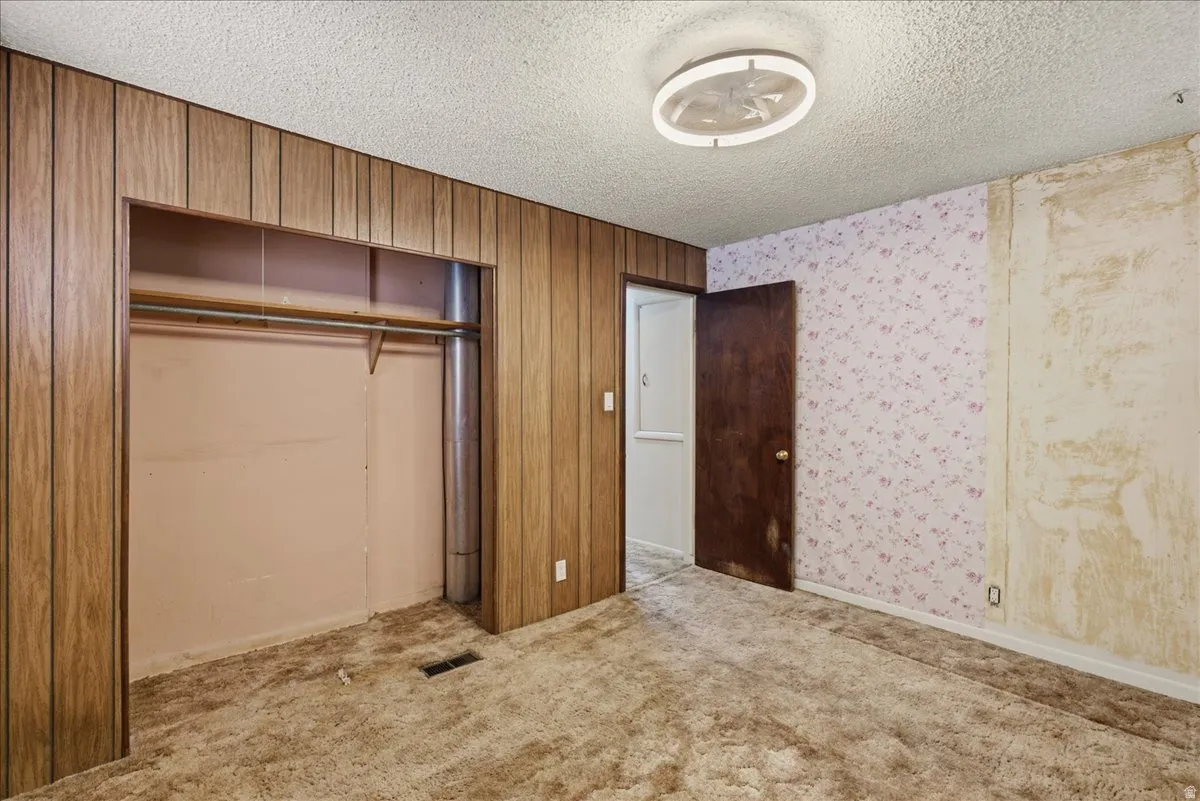 Carpeted room featuring wood-panel accent wall, built-in closet with hanging rod, and ceiling-mounted light fixture