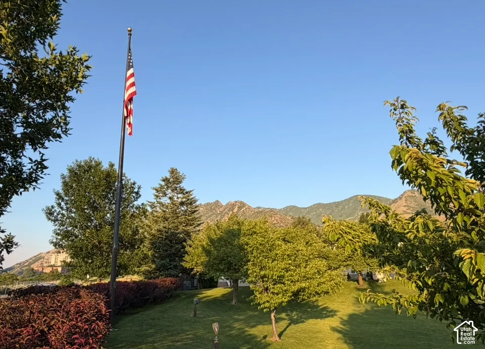 Expansive landscaped yard featuring a flagpole, mature trees, manicured lawn, and distant mountains