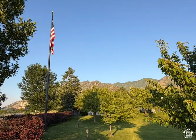 Expansive landscaped yard featuring a flagpole, mature trees, manicured lawn, and distant mountains