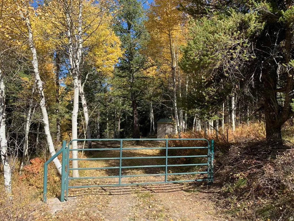 Gated property entrance featuring a metal gate and mature trees, including aspens with golden foliage and evergreen pines