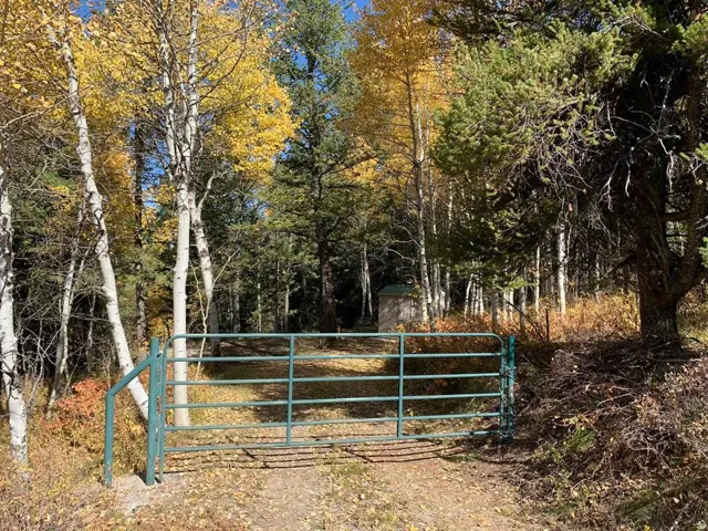 Gated property entrance featuring a metal gate and mature trees, including aspens with golden foliage and evergreen pines