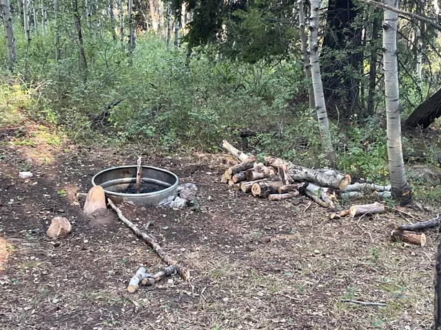 Outdoor fire pit area with a metal ring, surrounded by natural foliage and mature trees