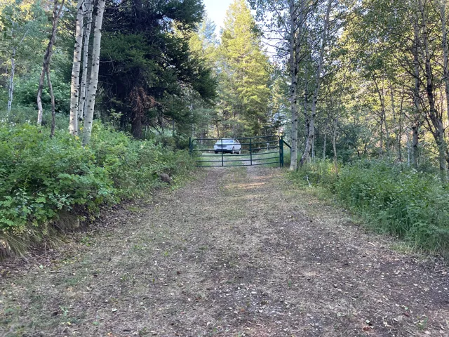 Gravel drive with perimeter fencing and a metal gate