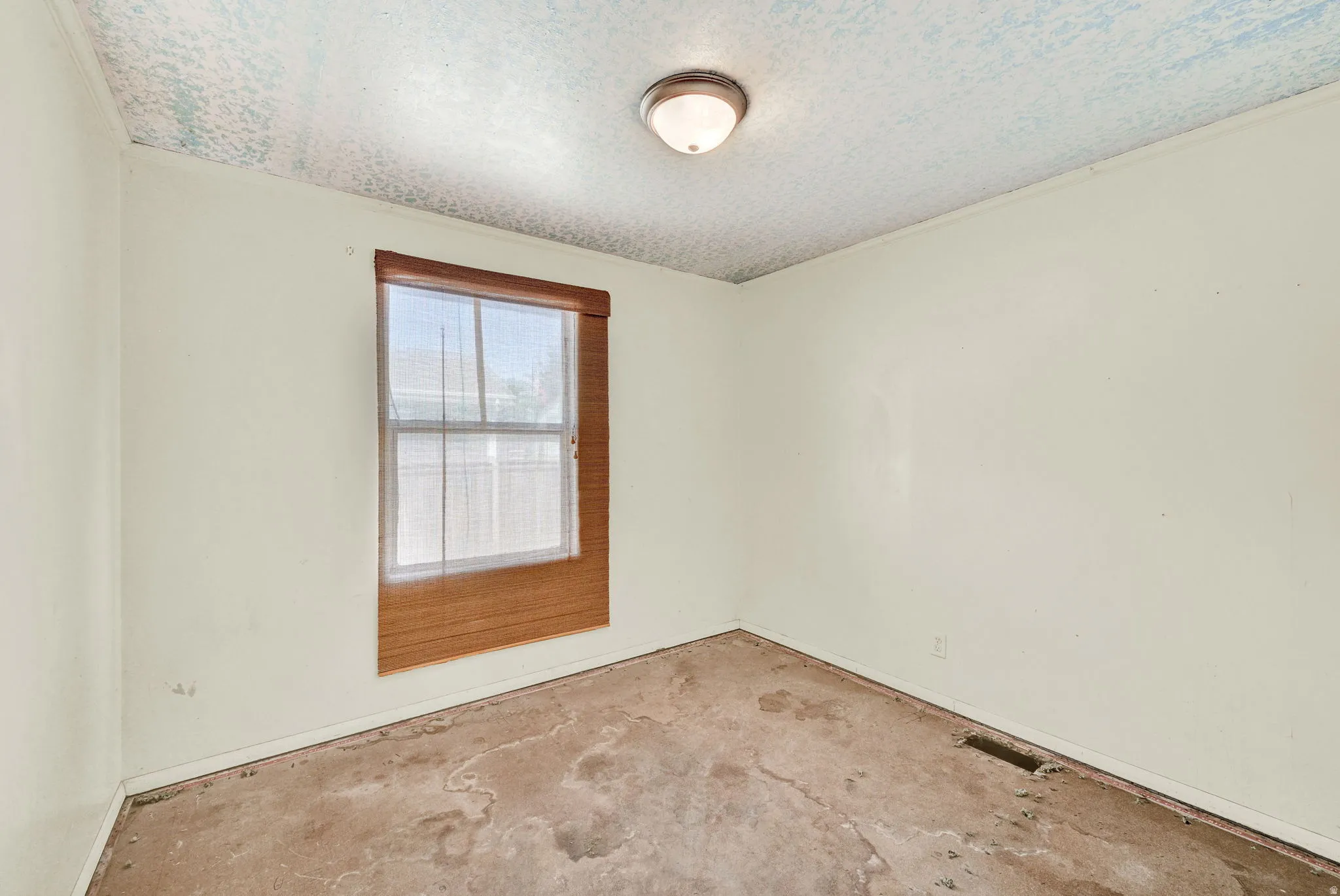 Room featuring a window with wood-finish trim, neutral-toned walls, and a ceiling-mounted light fixture