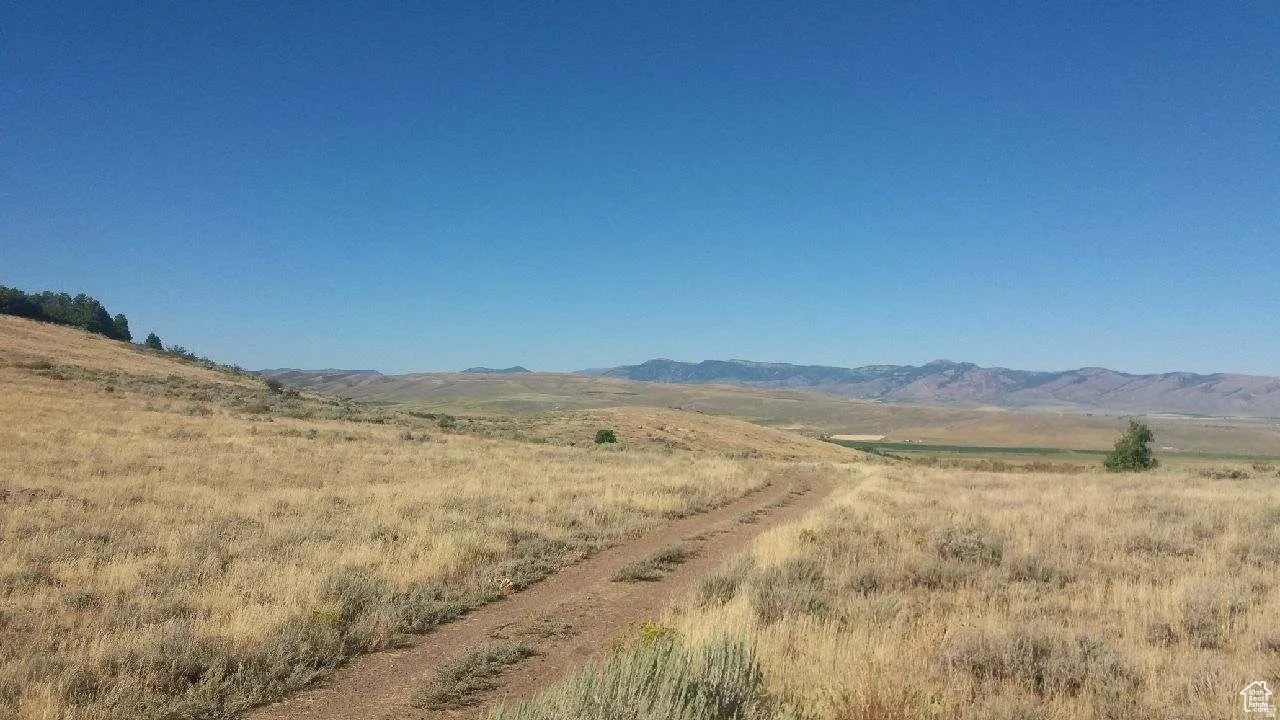 Rural landscape featuring expansive dry grasslands and distant mountain ranges