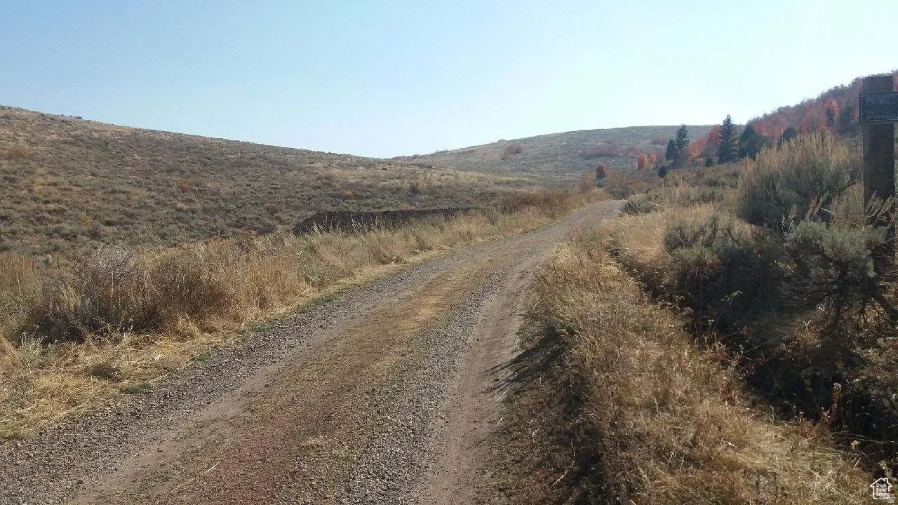 Gravel road traversing natural hillside terrain with sparse native vegetation and distant trees
