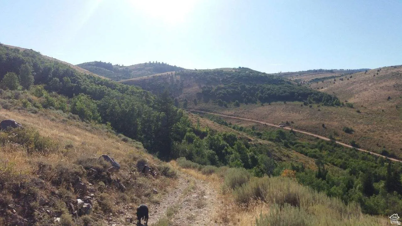Expansive hillside property featuring diverse topography, natural vegetation, and distant mountain ranges