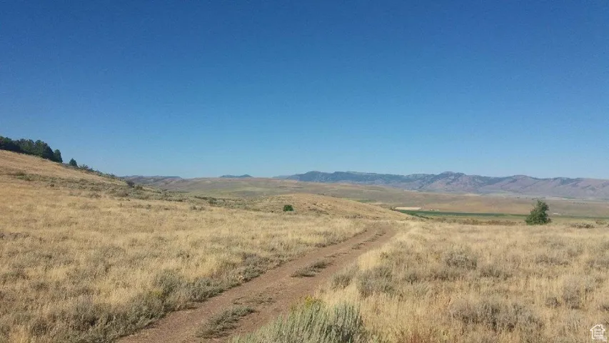 Rural landscape featuring expansive dry grasslands and distant mountain ranges