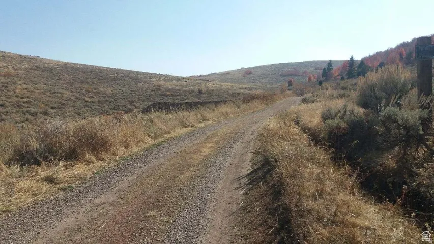 Gravel road traversing natural hillside terrain with sparse native vegetation and distant trees