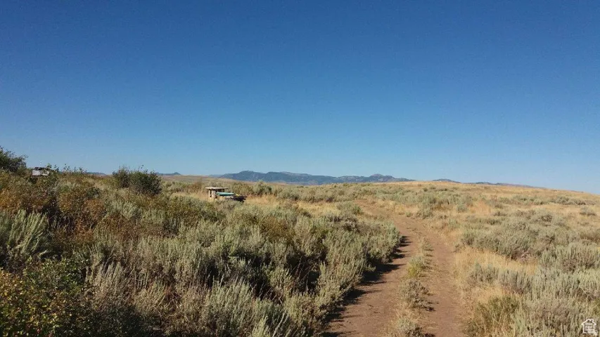 Expansive undeveloped land featuring a clear dirt path, native grasses, and distant mountains under a clear blue sky